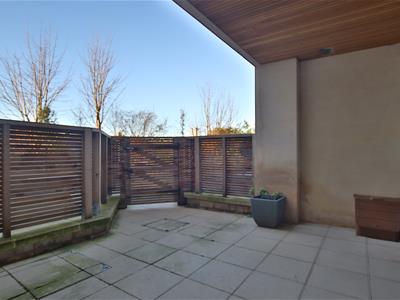 Picture 10